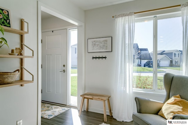 entrance foyer with a healthy amount of sunlight and dark wood-type flooring