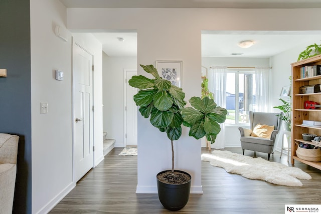 living area with dark hardwood / wood-style floors