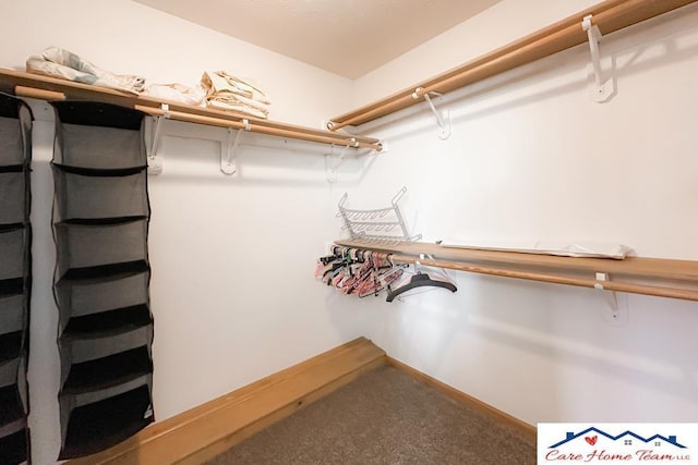 walk in closet featuring carpet floors