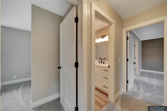 hall with light colored carpet and sink