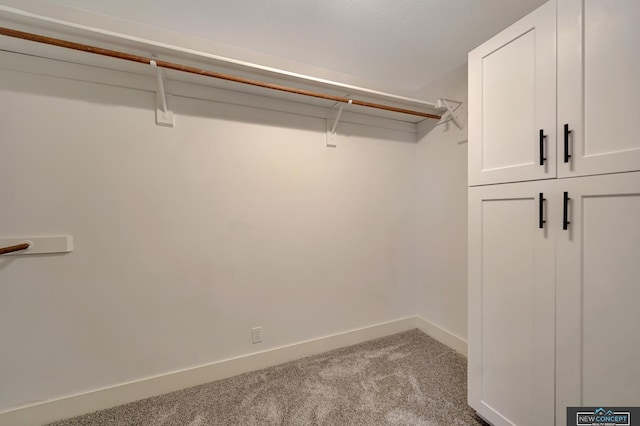 spacious closet featuring light carpet