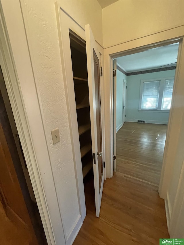 hallway with wood-type flooring