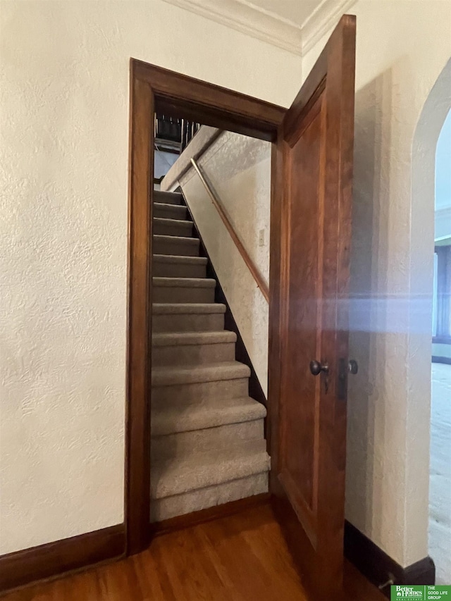 stairway featuring crown molding and hardwood / wood-style flooring