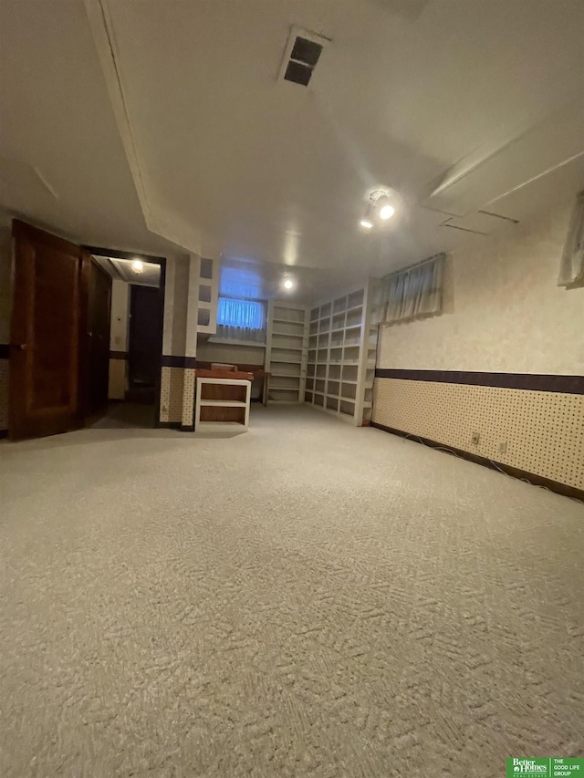 basement featuring carpet floors