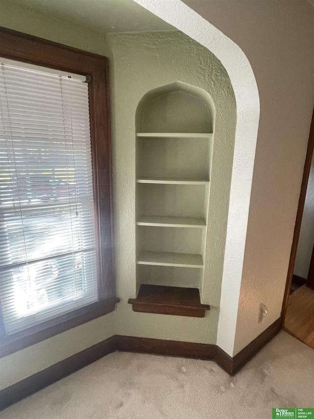 room details with built in shelves and carpet