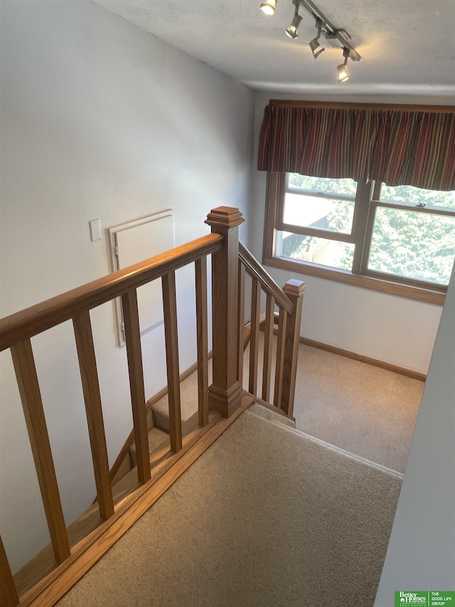 stairs featuring carpet flooring