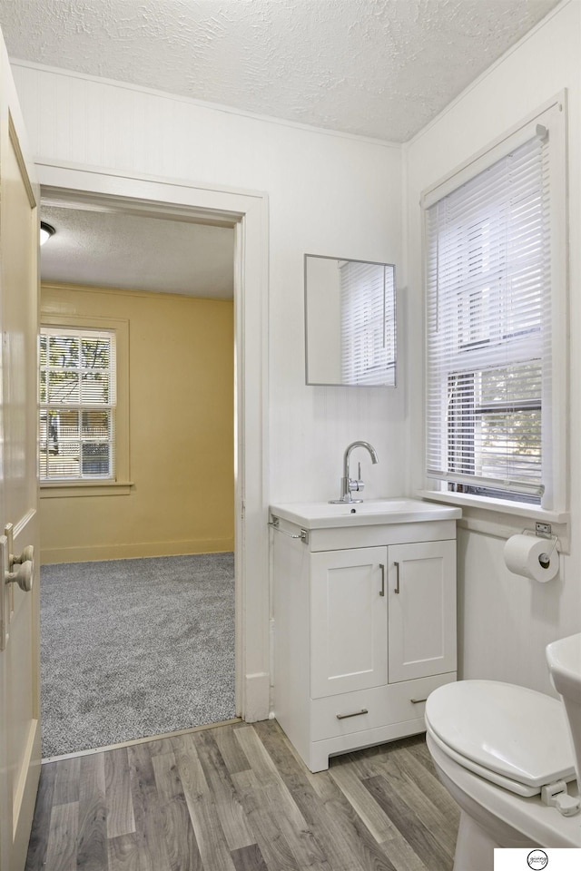 bathroom featuring vanity, a textured ceiling, hardwood / wood-style flooring, and a healthy amount of sunlight