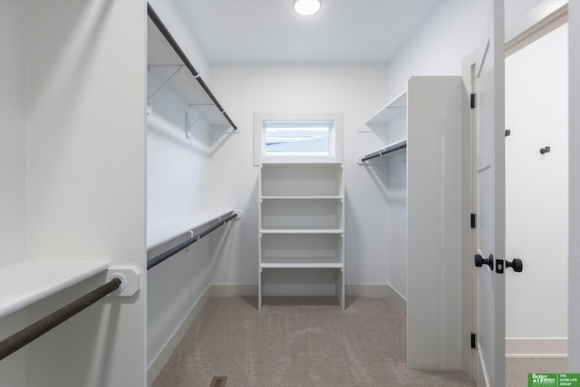 walk in closet with light colored carpet