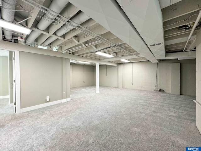 basement featuring carpet