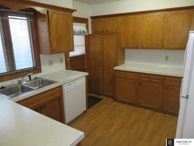 kitchen featuring light hardwood / wood-style floors, white appliances, and sink