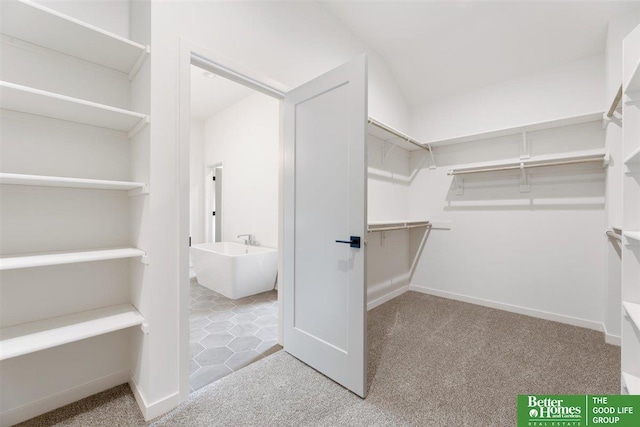 spacious closet with light carpet