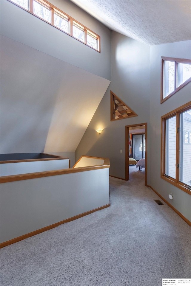 additional living space featuring carpet floors and a high ceiling