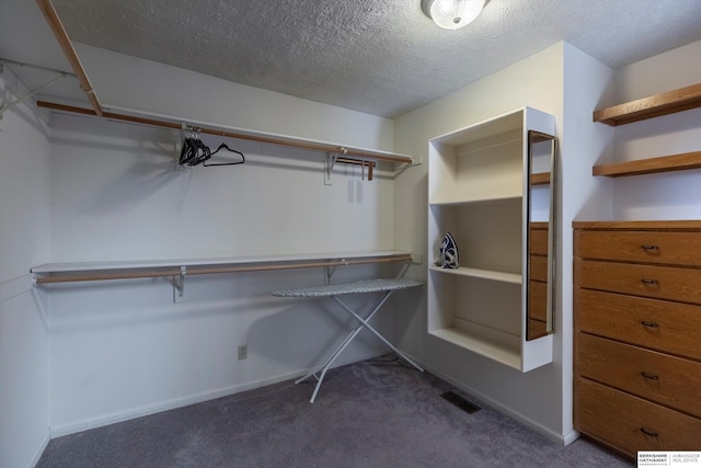 walk in closet featuring carpet