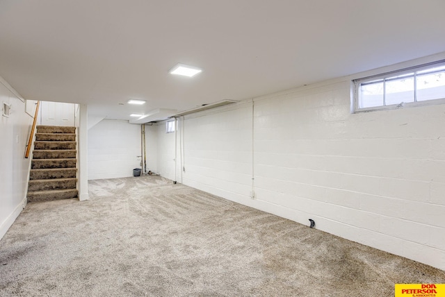 basement featuring carpet flooring