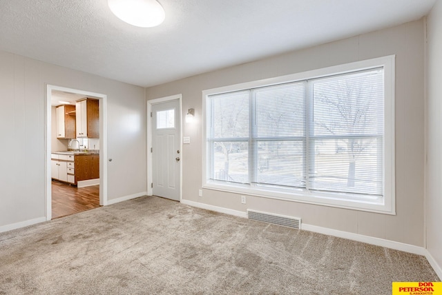 entrance foyer with light carpet, a healthy amount of sunlight, and sink