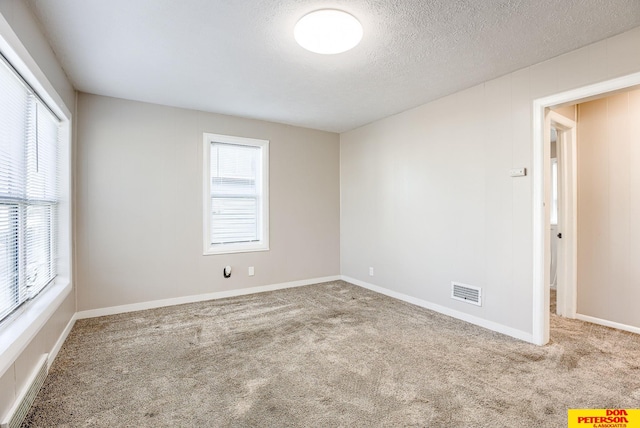 carpeted spare room with plenty of natural light and a textured ceiling