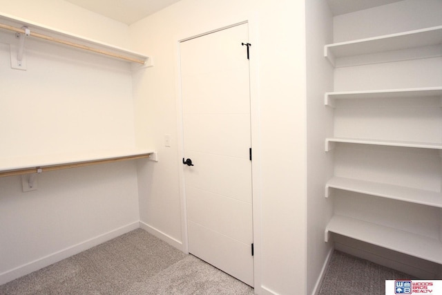 spacious closet featuring light colored carpet