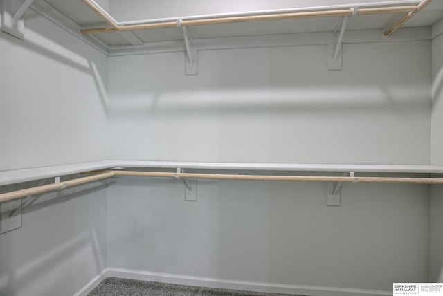 spacious closet with carpet