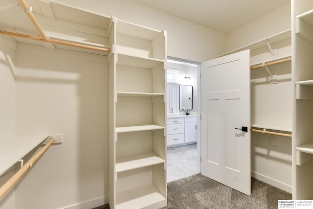 spacious closet featuring sink and dark colored carpet