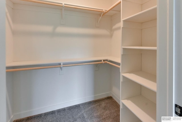 spacious closet with carpet flooring