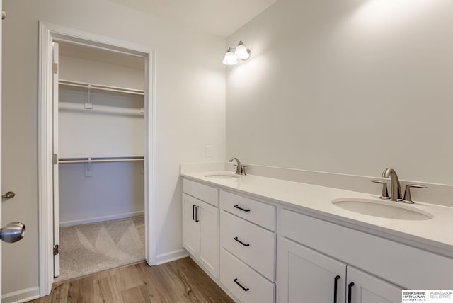 bathroom with wood finished floors, a walk in closet, and a sink