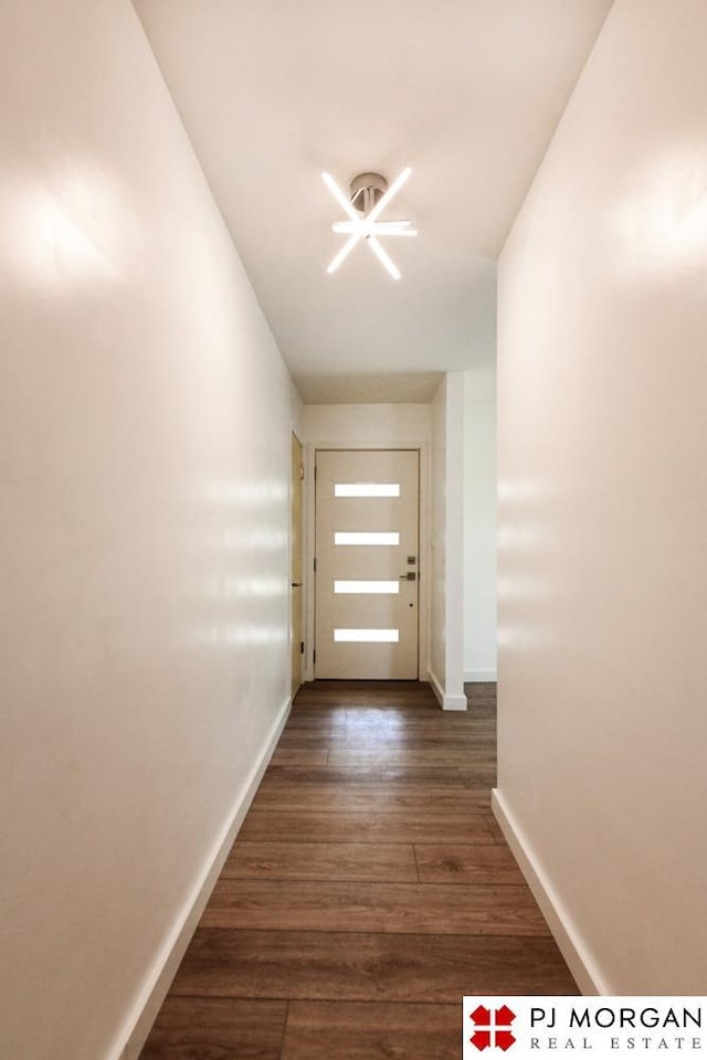 doorway to outside with dark hardwood / wood-style floors