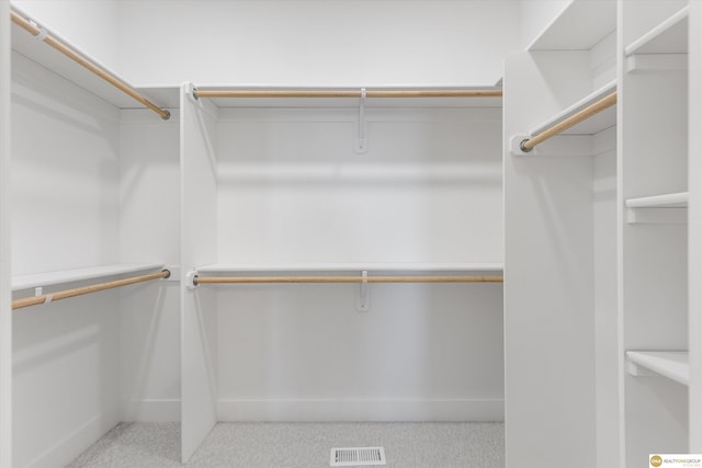 spacious closet featuring light colored carpet