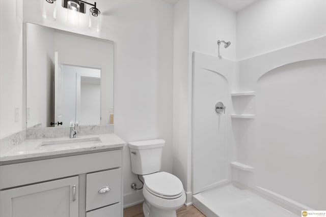 bathroom featuring a shower, vanity, and toilet