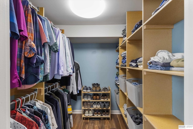 walk in closet featuring dark wood-type flooring