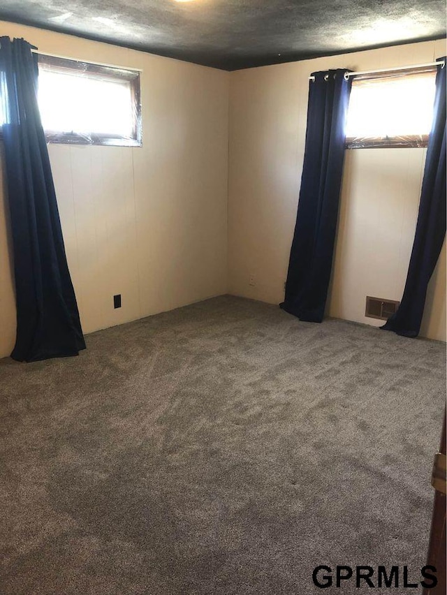 unfurnished room with carpet flooring and a textured ceiling