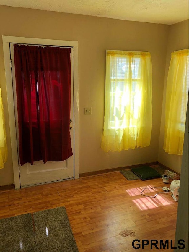 entrance foyer featuring hardwood / wood-style flooring