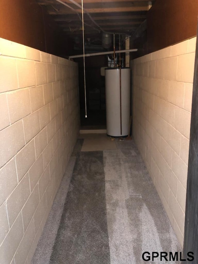 basement with gas water heater