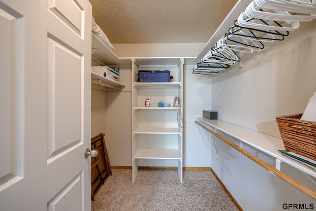 walk in closet with light colored carpet