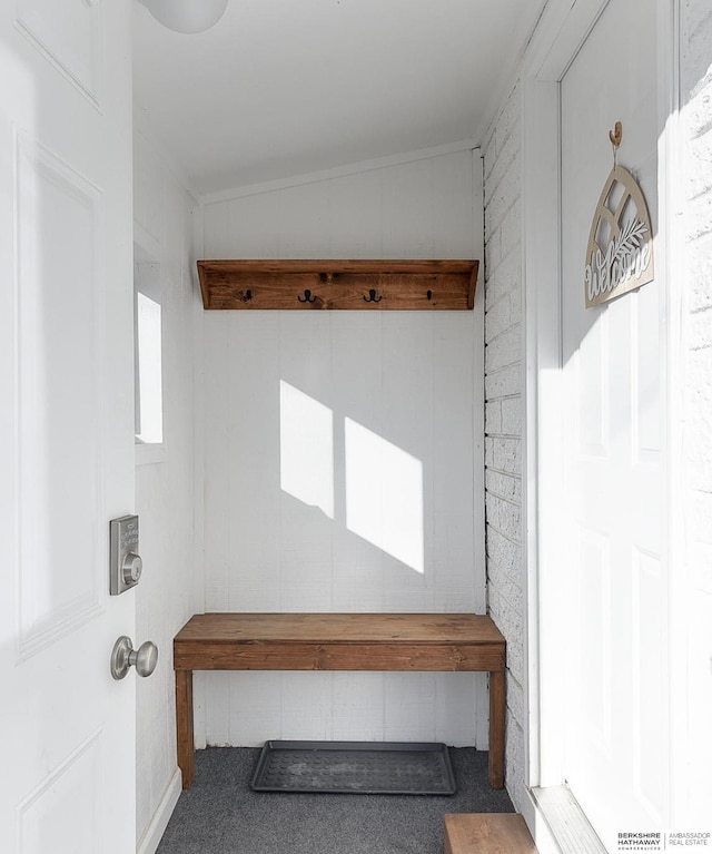 mudroom with carpet flooring and vaulted ceiling