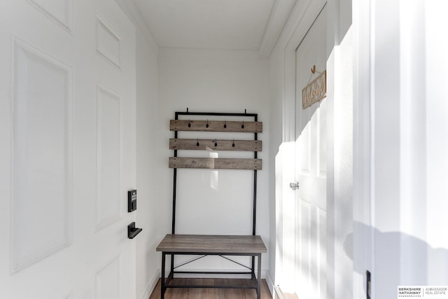 mudroom featuring wood-type flooring