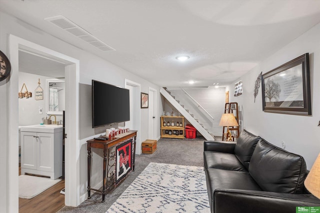 carpeted living room with sink