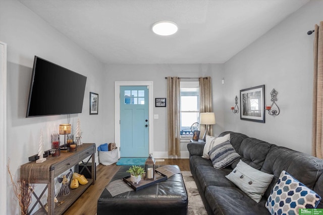 living room with hardwood / wood-style flooring