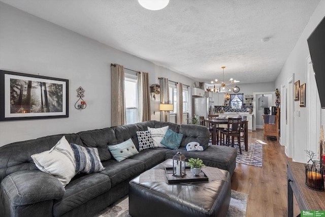 living room with a textured ceiling, hardwood / wood-style floors, and an inviting chandelier