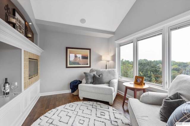 sitting room featuring a fireplace, dark wood-type flooring, and vaulted ceiling