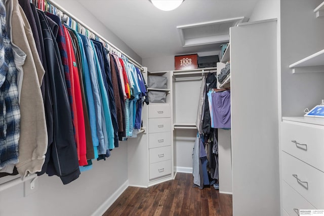 spacious closet with dark hardwood / wood-style floors