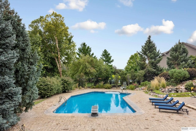 view of swimming pool featuring a diving board and a patio area