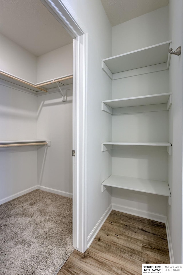 view of spacious closet