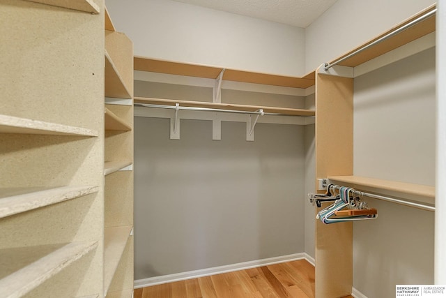 walk in closet featuring light hardwood / wood-style flooring