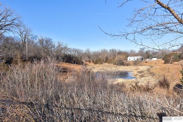 view of local wilderness