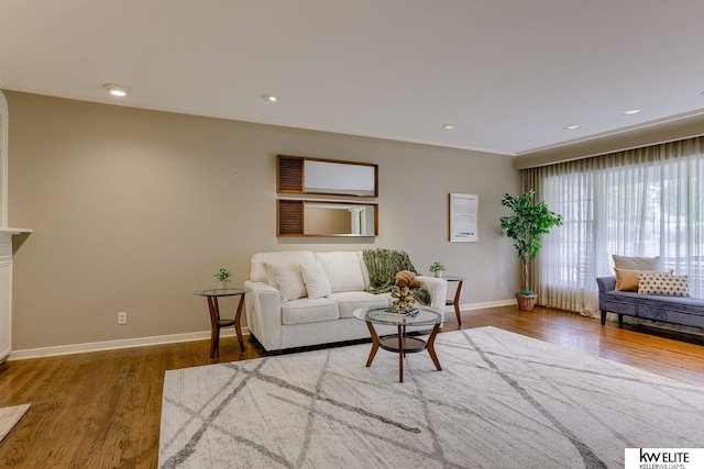 living room featuring hardwood / wood-style flooring