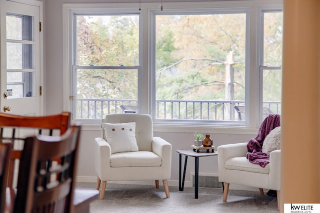 sitting room featuring carpet