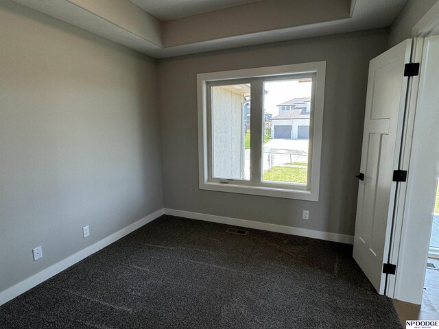 carpeted empty room with a raised ceiling