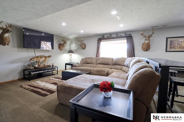 carpeted living room with a textured ceiling