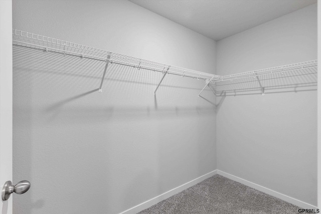 spacious closet with carpet flooring