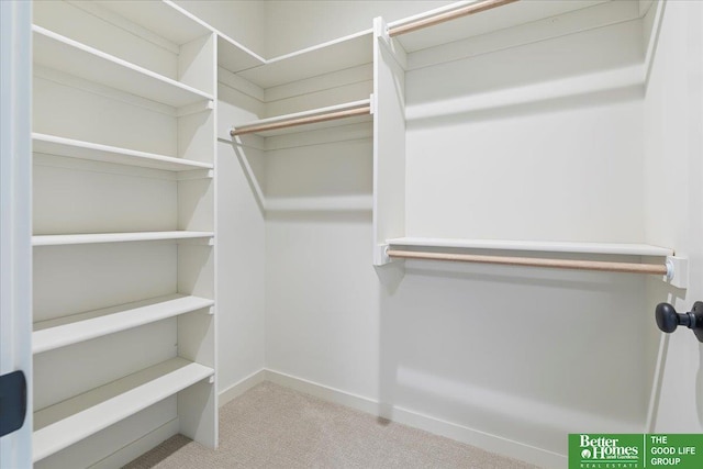 walk in closet featuring light colored carpet